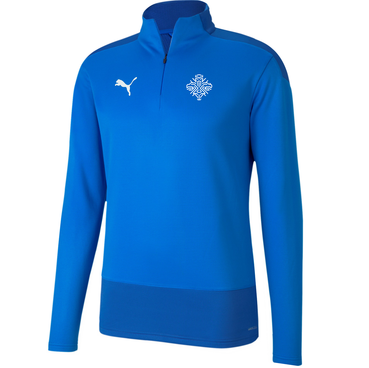 Puma teamGOAL 23 Training 1/4 Zip Top Jr