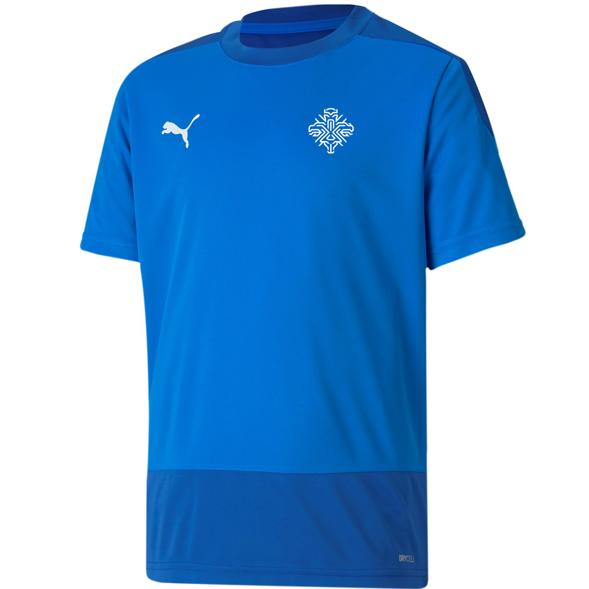 Puma teamGOAL 23 Training Jersey